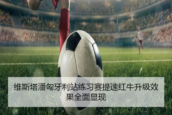 维斯塔潘匈牙利站练习赛提速红牛升级效果全面显现